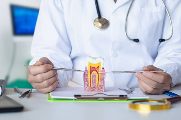 Best Walk-In Emergency Dentist in Brooklyn Park, MD